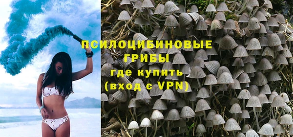 стаф Приозерск