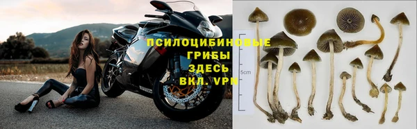 стаф Приозерск