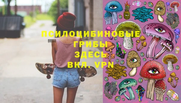 спиды Протвино