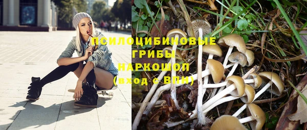 спиды Протвино