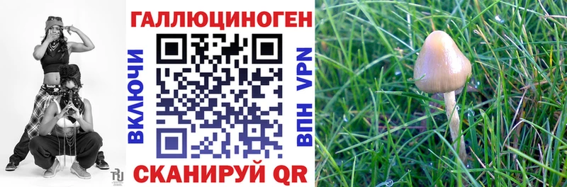 Псилоцибиновые грибы Magic Shrooms  Новотроицк 
