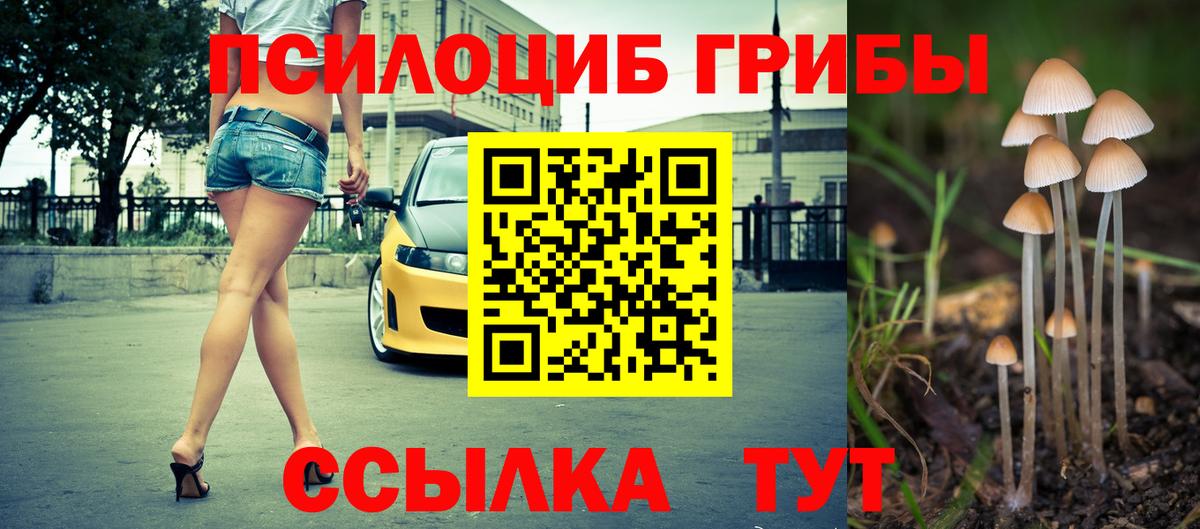 Псилоцибиновые грибы ЛСД  Вход с VPN  Галлюциногенные грибы мицелий  Новотроицк 