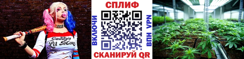 сколько стоит  mega   Бошки Шишки VHQ  Новотроицк 